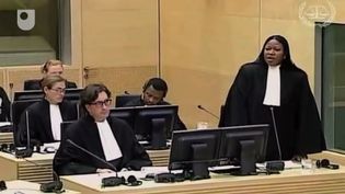 Watch the prosecution and defense lawyers speaking on the Katanga case at the International Criminal Court