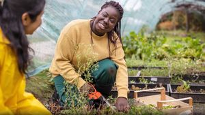 What is organic farming?