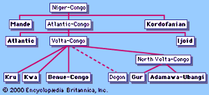 The Niger-Congo language family, with the branches shown in bold.