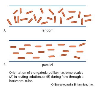 Macromolecules