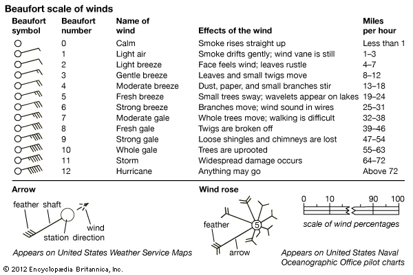 wind rose: Beaufort scale