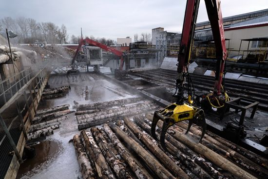 Russia: wood-processing plant
