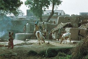 Hoshiarpur, Punjab, India: communal well