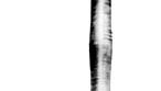 Bassoon.
