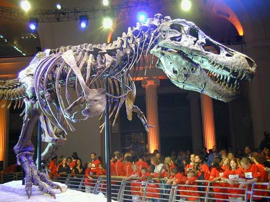 Chicago: Field Museum of Natural History
