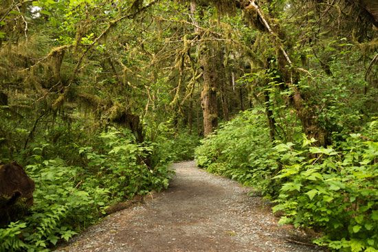 Tongass National Forest
