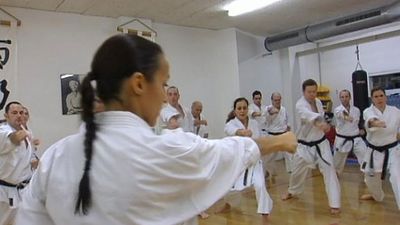 How to learn karate