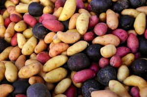 potatoes