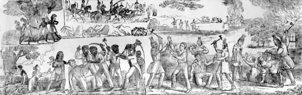 The Seminole Wars