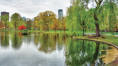 Boston Public Garden