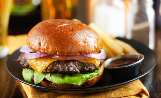 hamburger bun