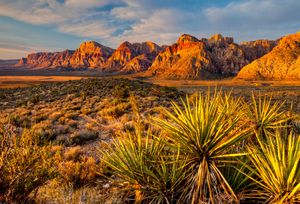 Nevada: Red Rock Canyon National Conservation Area