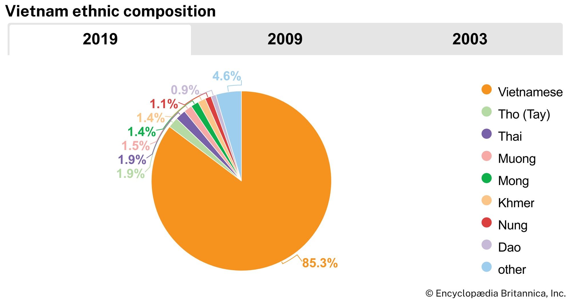 Vietnam: Ethnic composition