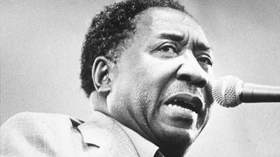 Muddy Waters