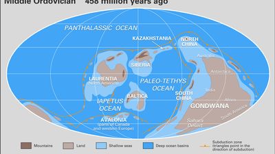 Ordovician paleogeography