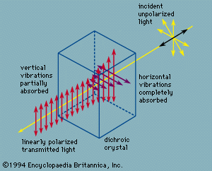 Plane-polarized light transmitted by a dichroic crystal