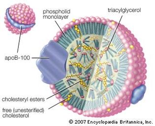 low-density lipoprotein (LDL) complex