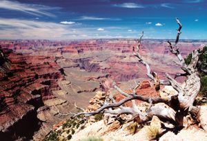 South Rim of the Grand Canyon