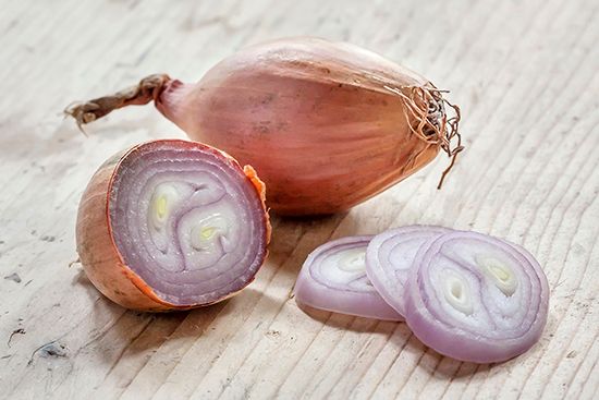 shallot