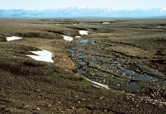 Arctic National Wildlife Refuge