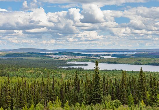 taiga: evergreen
forests in Labrador