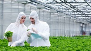 Are genetically modified organisms safe?