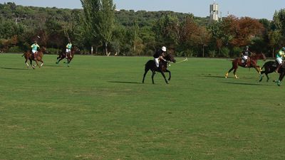 polo