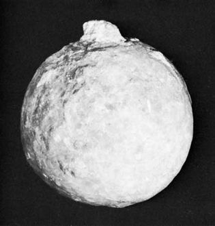 cystoid