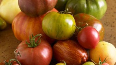 heirloom tomato