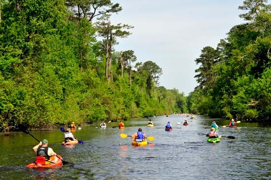 Dismal Swamp Canal
