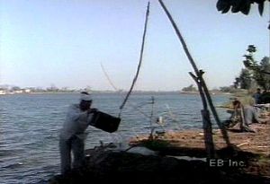 Explore traditional Egyptian irrigation methods and tools including shaduf, water screw, and waterwheel