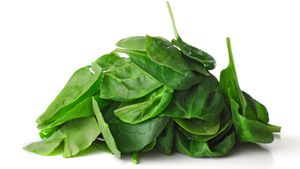 How spinach can be used to detect explosives