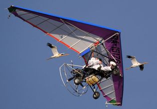 Vladimir Putin flying with white cranes