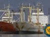 Visit the world's southernmost city to learn of its past whaling reliance and current production of fine wool