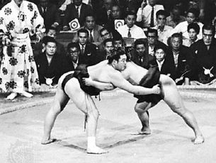 sumo wrestling