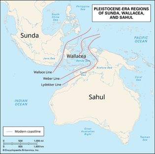 Sahul
