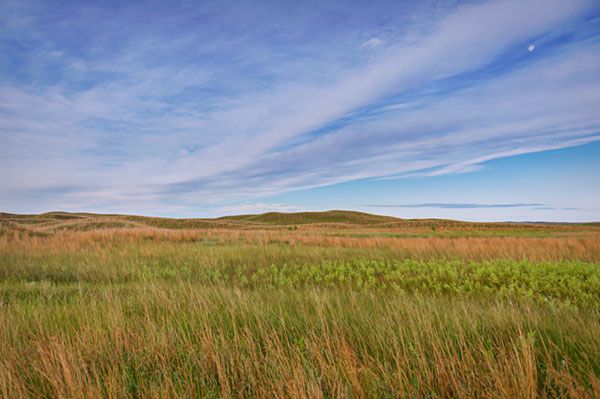 Sand Hills