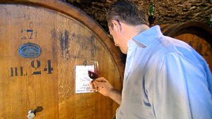 The Ricasoli family's wine tradition and Chianti's landscape