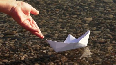 Why do objects float or sink in water?