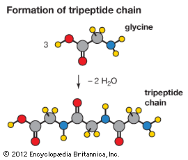 condensation reaction