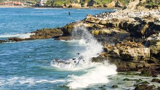 Learn why the construction of dykes is crucial in protecting the north German coastlines