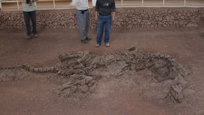 The Lufengosaurus fossil: The oldest soft tissue ever found?