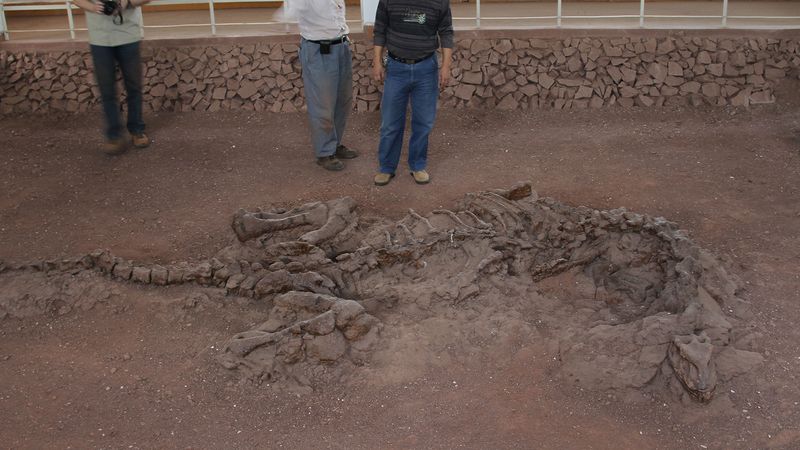 The Lufengosaurus fossil: The oldest soft tissue ever found?